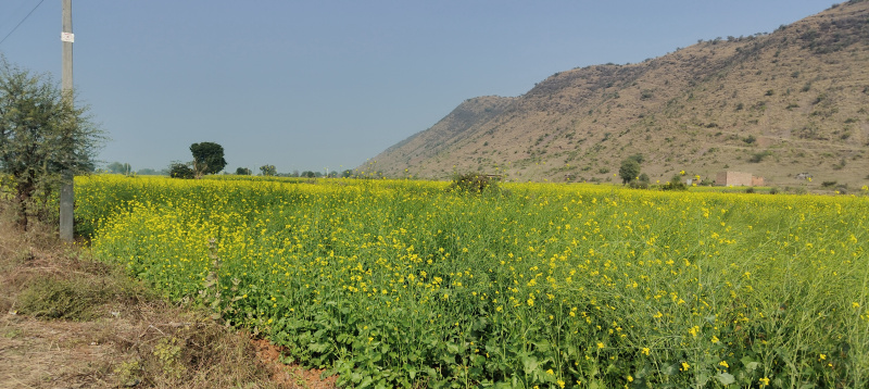 Naugaon, Alwar