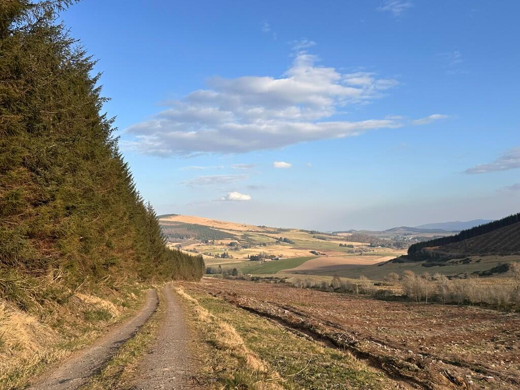 Additional image 10 of Glen of Noth Forest, Aberdeenshire AB54