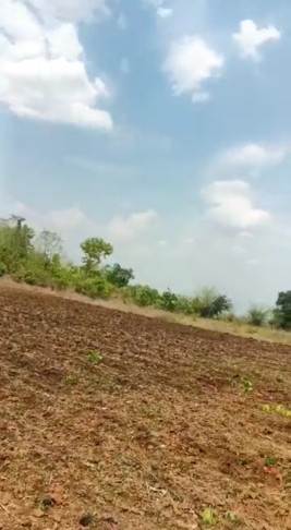 Additional image 2 of Kondhali, Nagpur