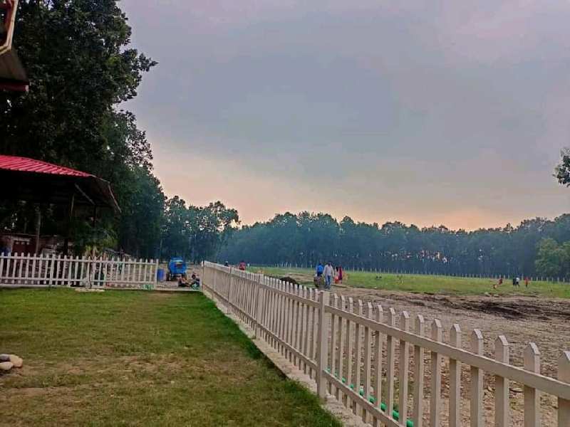 Additional image 3 of Pondha, Dehradun