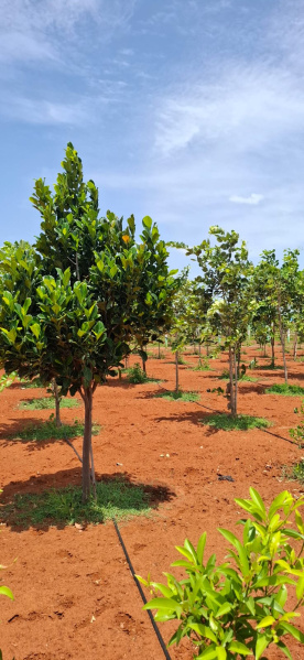 Additional image 3 of East Coast Road, Pondicherry