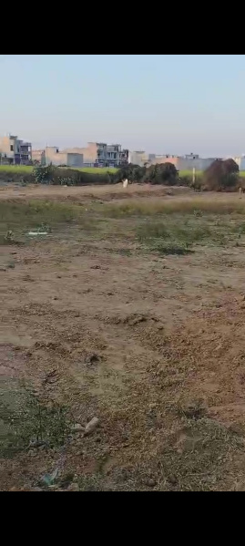 Ambedkar Nagar, Alwar