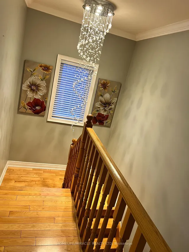 Additional image 13 of 2 Roycrest St