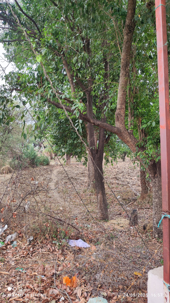 Additional image 3 of Acharpura, Bhopal