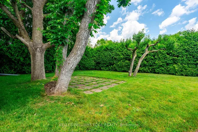 Additional image 50 of 458 Elwood Rd