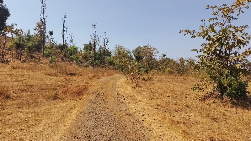 Additional image 2 of Konark Nagar, Nashik