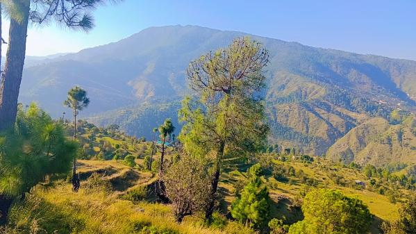 Additional image 2 of Mukteshwar, Nainital