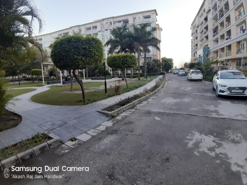 Additional image 3 of Patanjali Yogpeeth, Haridwar