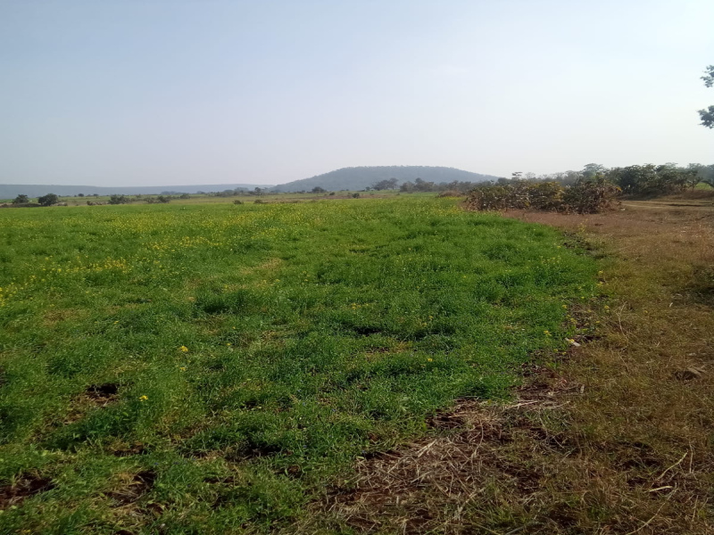 Additional image 3 of Ratibad, Bhopal