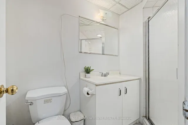 Additional image 33 of 35 Countryman Circ