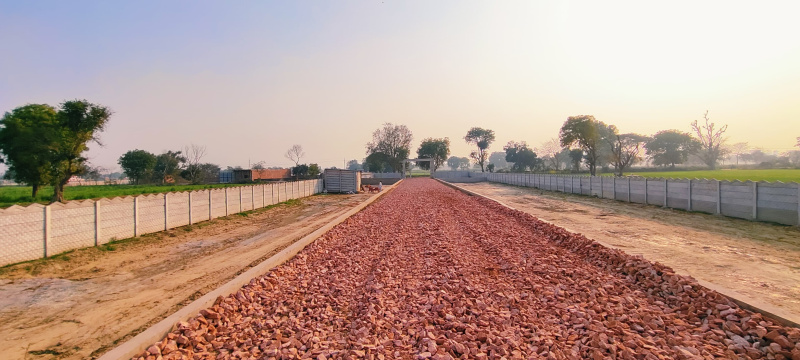 Additional image 2 of Rohta, Agra