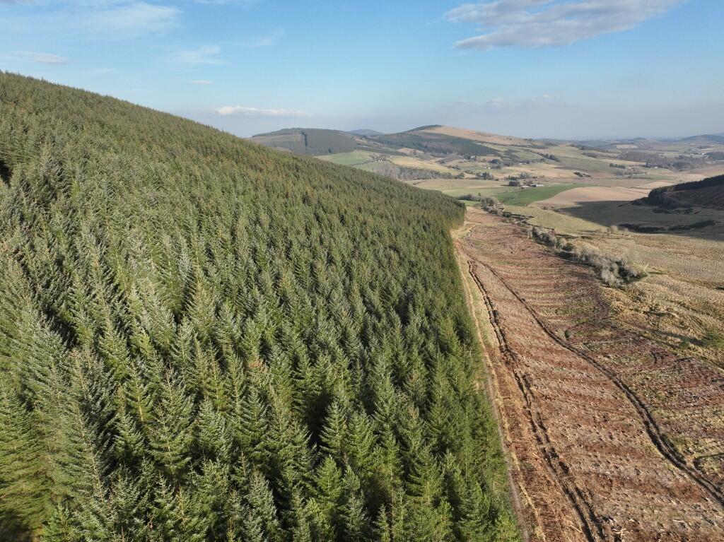 Additional image 3 of Glen of Noth Forest, Aberdeenshire AB54