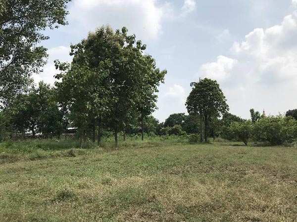 Additional image 3 of Ramaipur, Kanpur