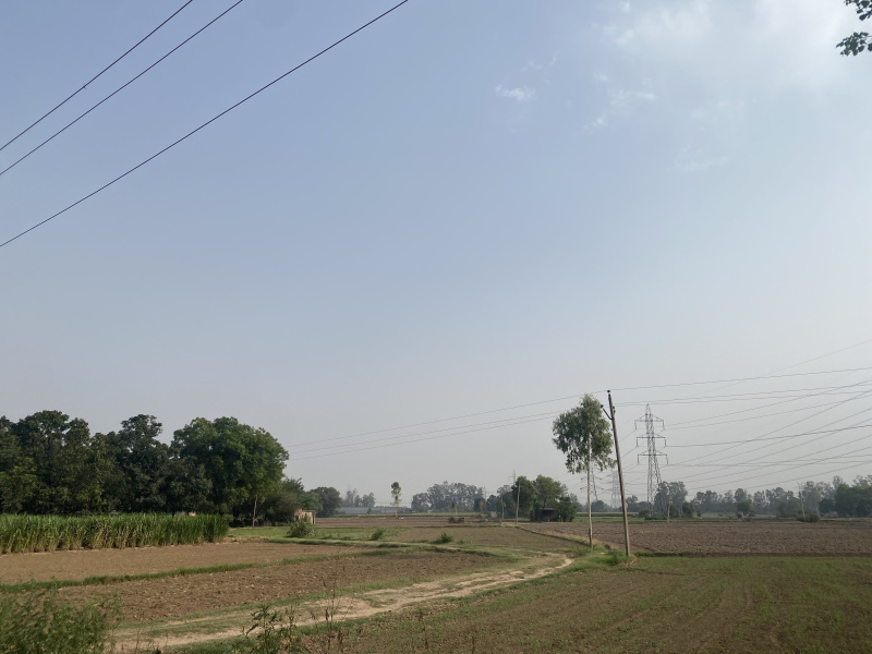 Additional image 2 of Barwala, Panchkula