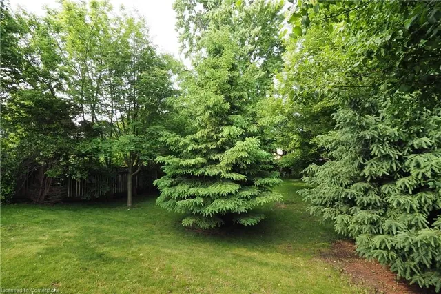 Additional image 23 of 383 Dumfries Ave