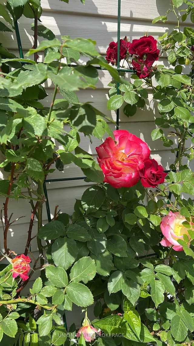 Additional image 29 of 412 Coxwell Ave