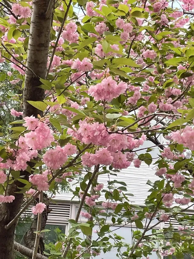 Primary image of 108 Banff Rd