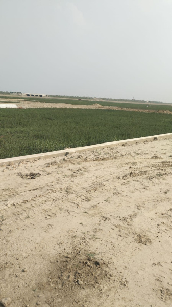 Additional image 2 of Kauriya Jungle Village, Gorakhpur
