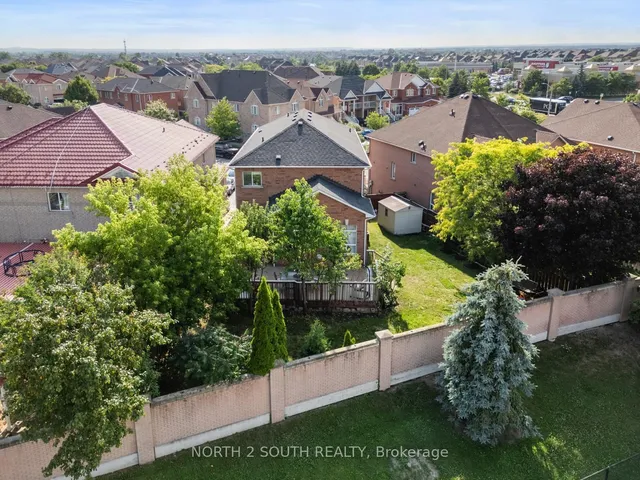 Additional image 46 of 41 Youngestar Tr