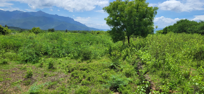 Additional image 2 of Peedampalli, Coimbatore