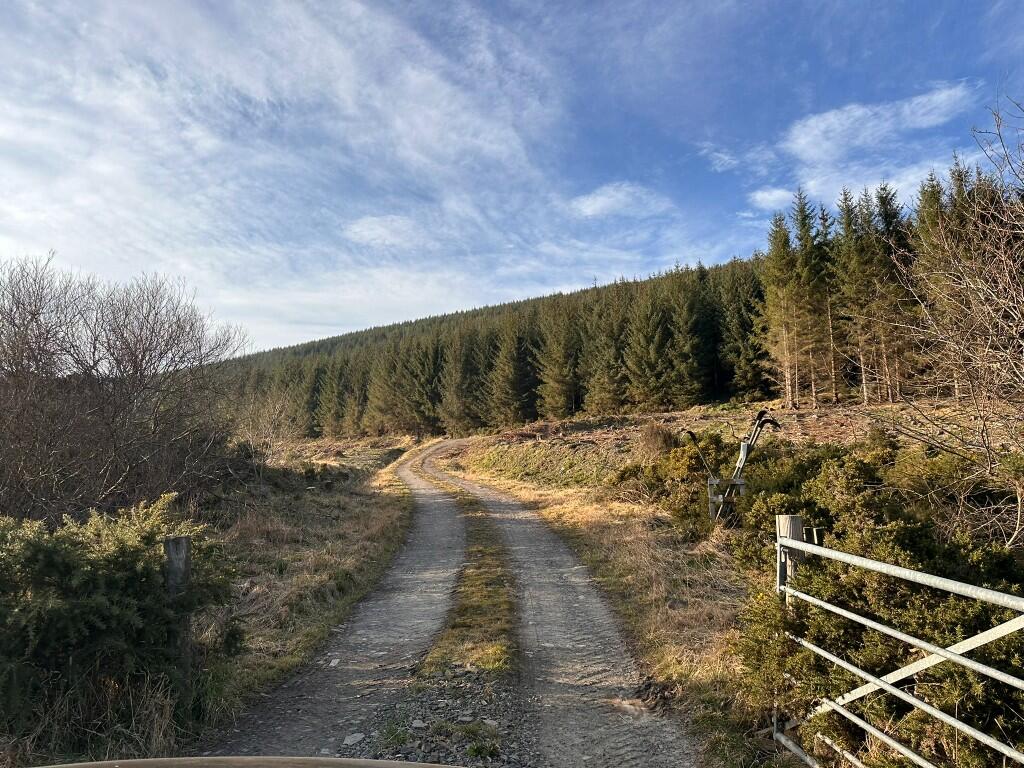 Additional image 9 of Glen of Noth Forest, Aberdeenshire AB54