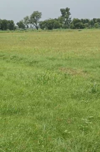 Additional image 3 of Burja, Alwar