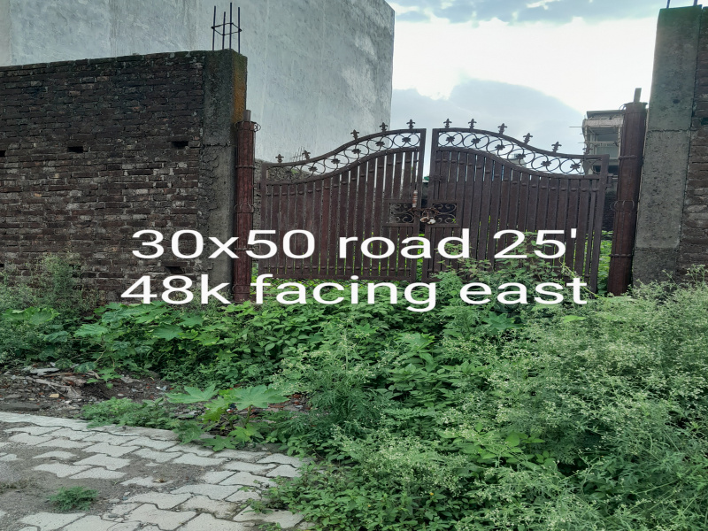 Sahastradhara Road, Dehradun