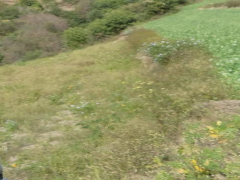 Additional image 3 of Theog, Shimla