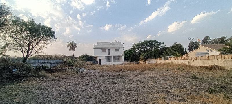 Bicholi Hapsi, Indore