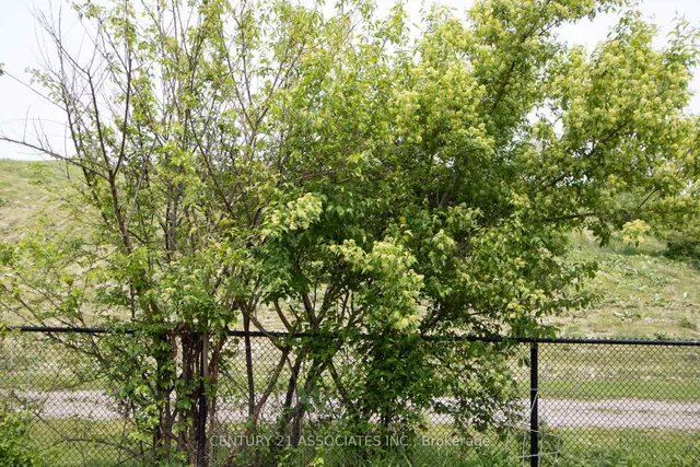 房产图片 34 - 5817 西德茅斯街