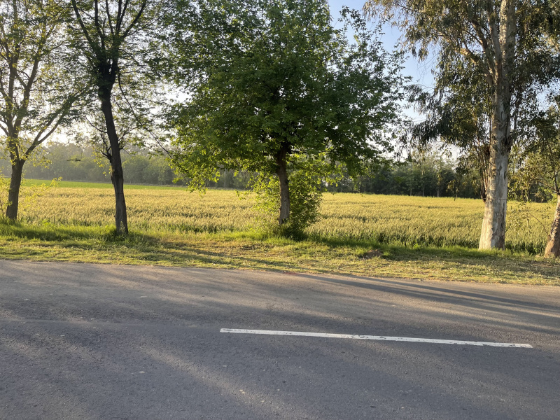 Additional image 2 of Pakhowal Road, Ludhiana