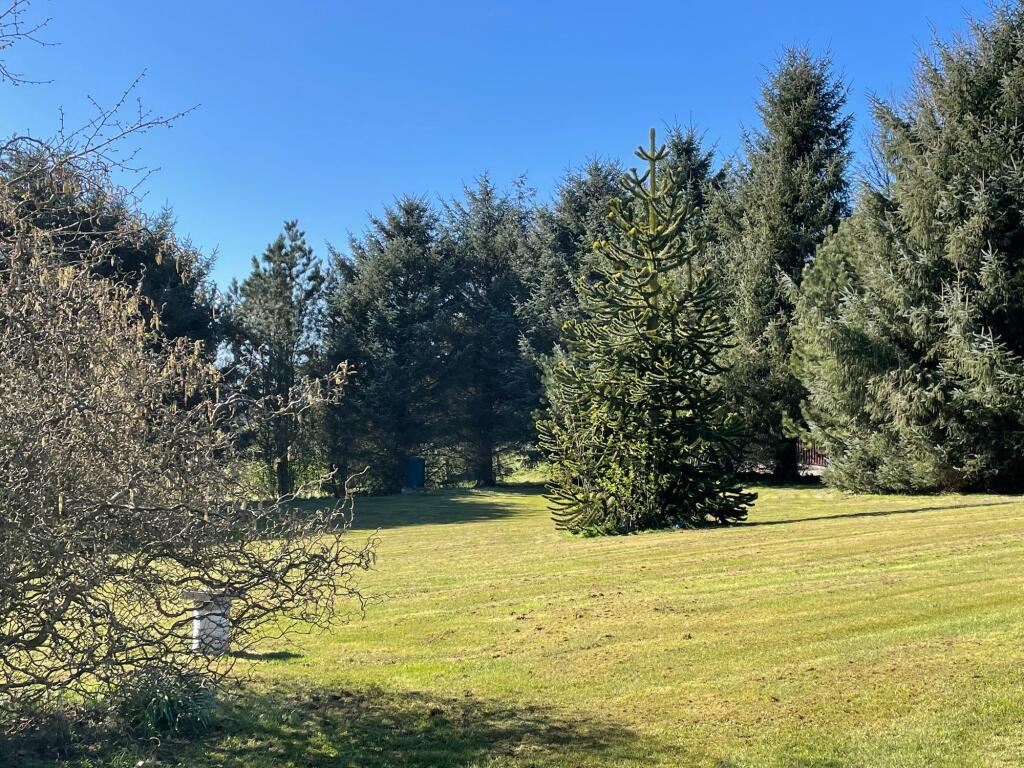 Additional image 44 of Maud, Peterhead, AB42