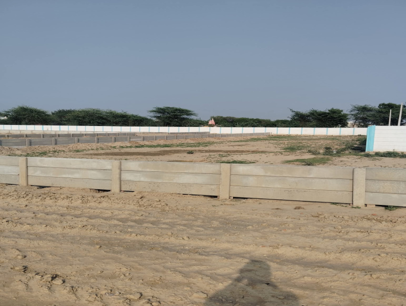 Additional image 3 of Bodla, Agra