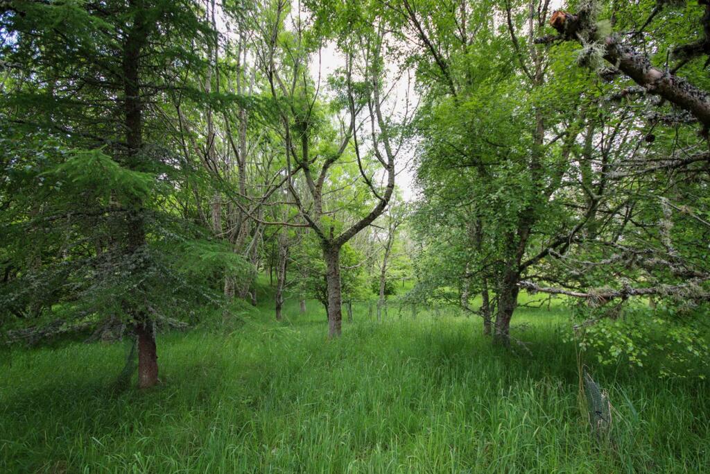 Additional image 23 of Newmill