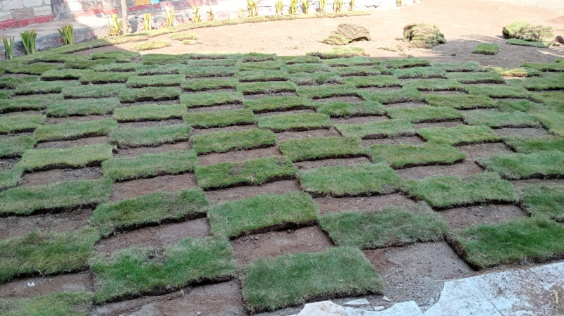 Additional image 3 of Dholera, Ahmedabad