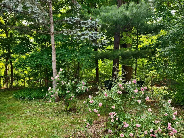 Additional image 43 of 1376 Forest Glade Rd