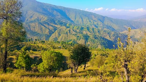 Property image for Mukteshwar, Nainital