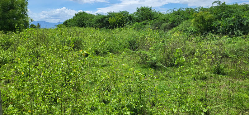 Additional image 3 of Peedampalli, Coimbatore