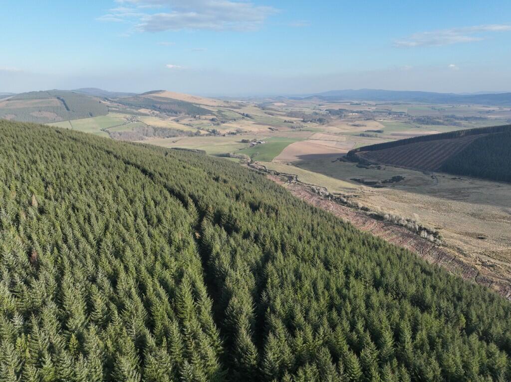 Additional image 8 of Glen of Noth Forest, Aberdeenshire AB54
