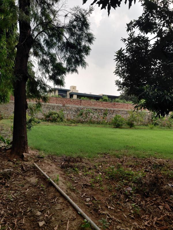 Additional image 3 of DLF Chattarpur farms, Chattarpur, Delhi