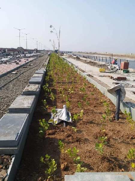 Additional image 2 of Dholera, Ahmedabad