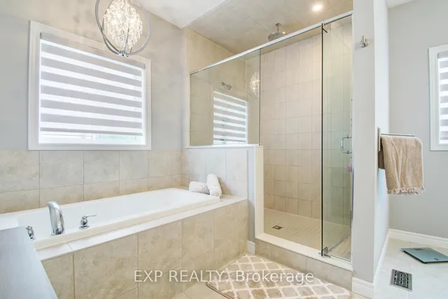 Additional image 30 of 49 Scots Pine Tr