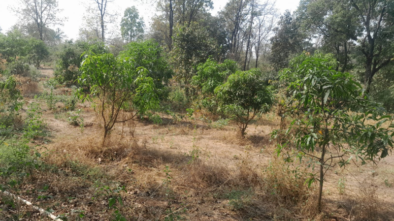 Additional image 3 of Murbad, Thane