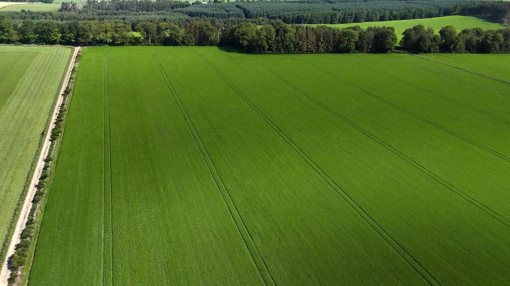 Additional image 6 of Lot 2 Land at Park Farm, Sauchen, AB51 7JR