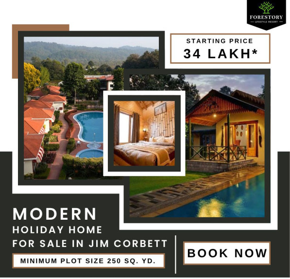 Additional image 2 of Bail Parao, Nainital