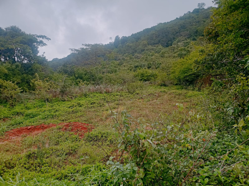 Mathikere, Bangalore