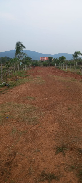 Additional image 2 of Pitapalli, Bhubaneswar