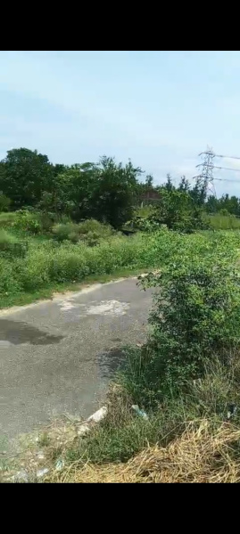 Additional image 3 of Delhi Roorkee Highway, Haridwar