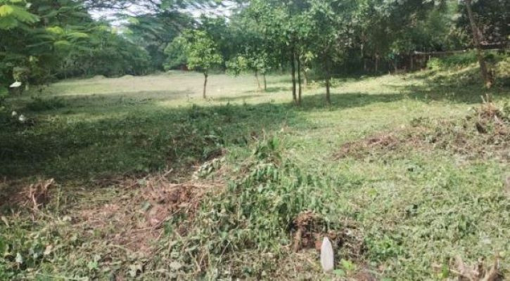 Additional image 3 of Ucassaim, North Goa, Goa