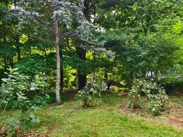 Additional image 41 of 1376 Forest Glade Rd